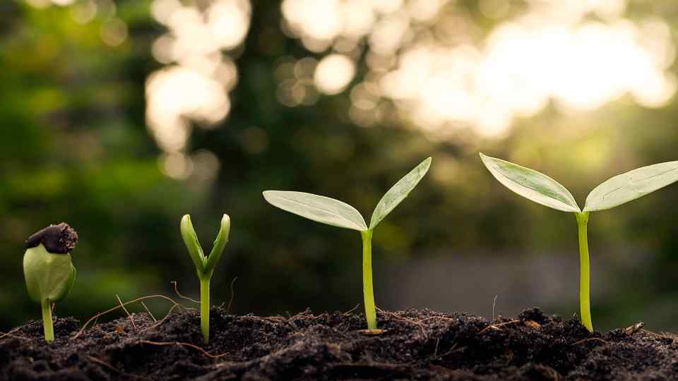 Sexualtherapie Kurse Individuation
