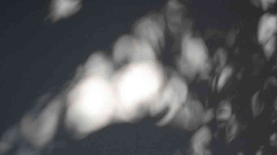 Schattenarbeit Ausbildung